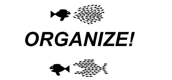 Social Media Organize